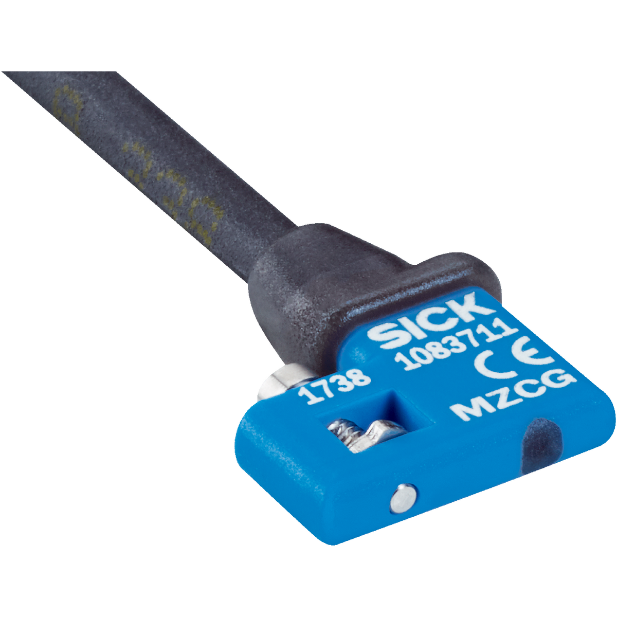 MZCG VIA